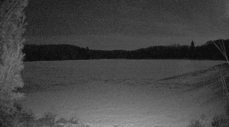 Image from 2025-03-13