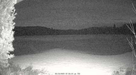 Image from 2025-03-13