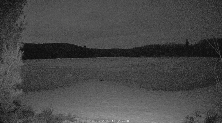 Image from 2025-03-13