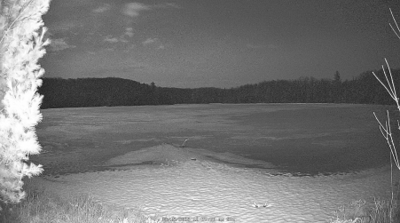Image from 2025-03-15
