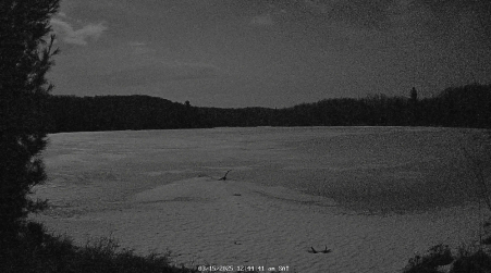Image from 2025-03-15