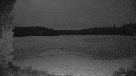 Image from 2025-03-15