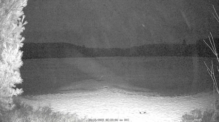 Image from 2025-03-15