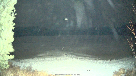 Image from 2025-03-15