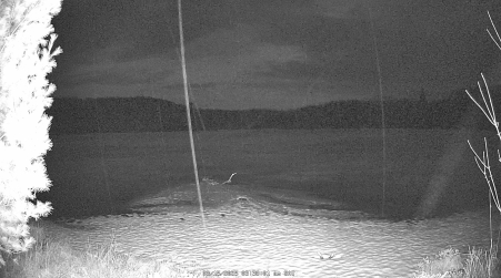 Image from 2025-03-15