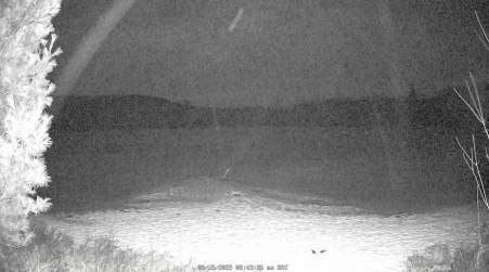 Image from 2025-03-15