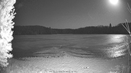 Image from 2025-03-15