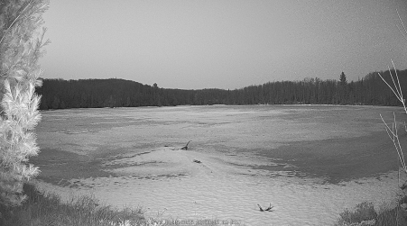 Image from 2025-03-15