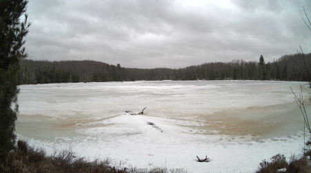 Image from 2025-03-15