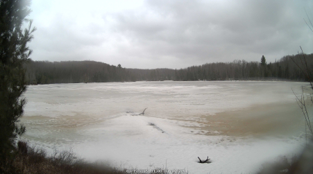 Image from 2025-03-15
