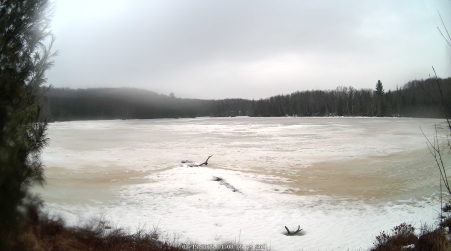 Image from 2025-03-15