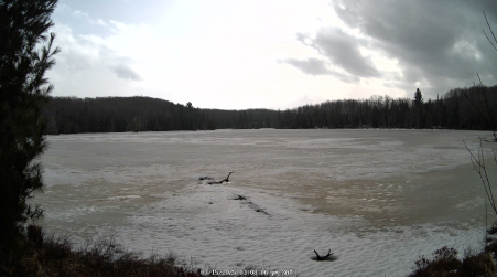 Image from 2025-03-15