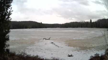 Image from 2025-03-15