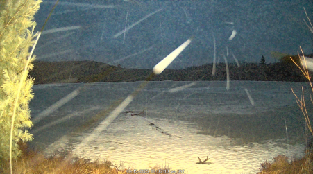 Image from 2025-03-15
