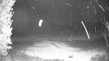 Image from 2025-03-15