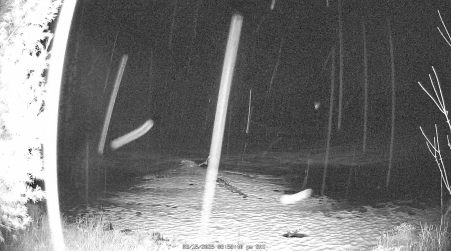 Image from 2025-03-15