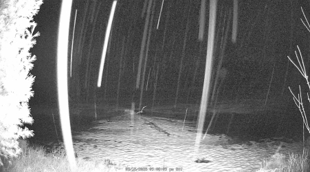 Image from 2025-03-15