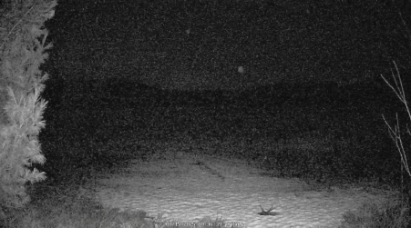 Image from 2025-03-15