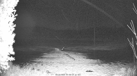 Image from 2025-03-15
