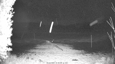 Image from 2025-03-15