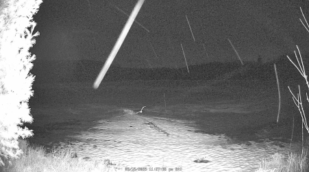 Image from 2025-03-15
