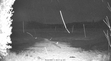 Image from 2025-03-15