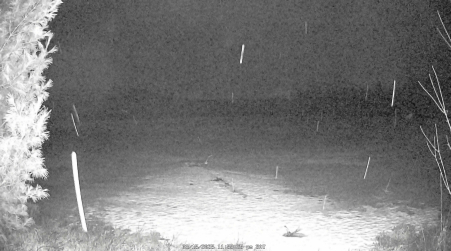 Image from 2025-03-15