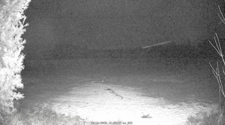 Image from 2025-03-16