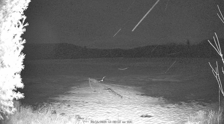 Image from 2025-03-16