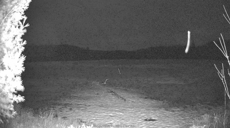 Image from 2025-03-16
