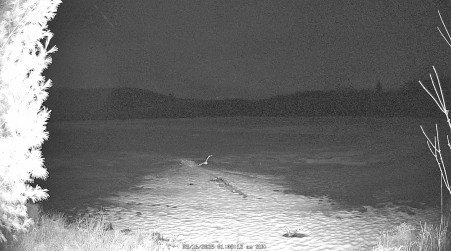 Image from 2025-03-16