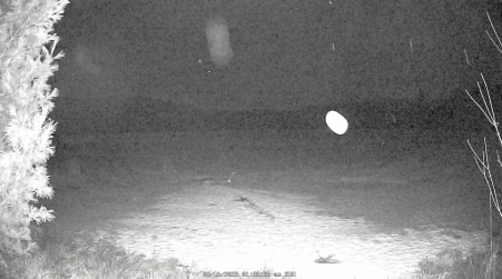 Image from 2025-03-16