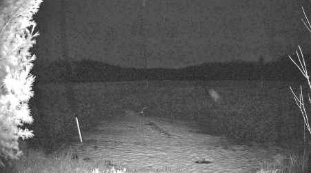 Image from 2025-03-16