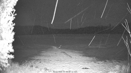 Image from 2025-03-16