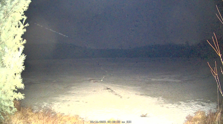 Image from 2025-03-16