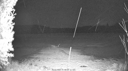 Image from 2025-03-16