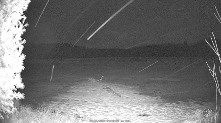 Image from 2025-03-16