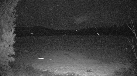 Image from 2025-03-16
