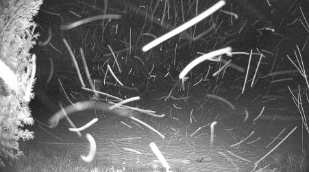 Image from 2025-03-16