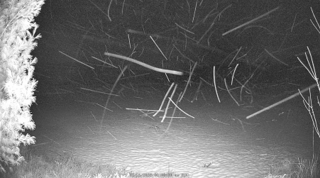 Image from 2025-03-16
