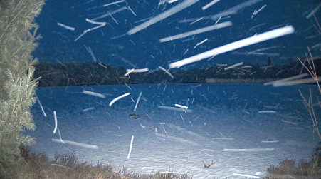 Image from 2025-03-16