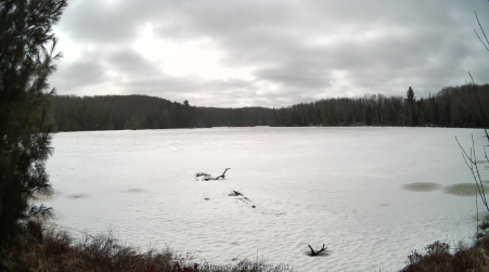 Image from 2025-03-16
