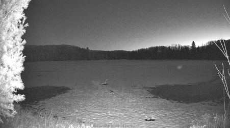 Image from 2025-03-16