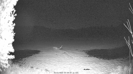 Image from 2025-03-16