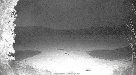 Image from 2025-03-16