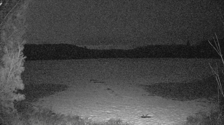 Image from 2025-03-17