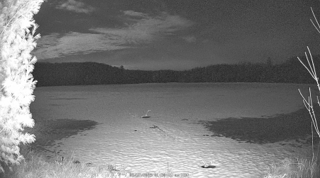 Image from 2025-03-17