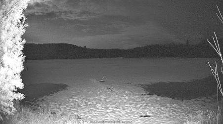 Image from 2025-03-17