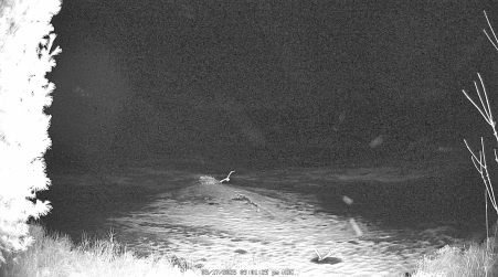 Image from 2025-03-17