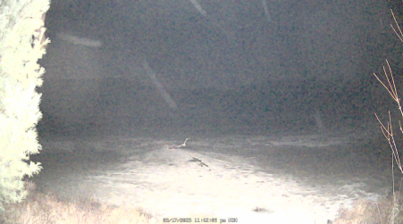 Image from 2025-03-17